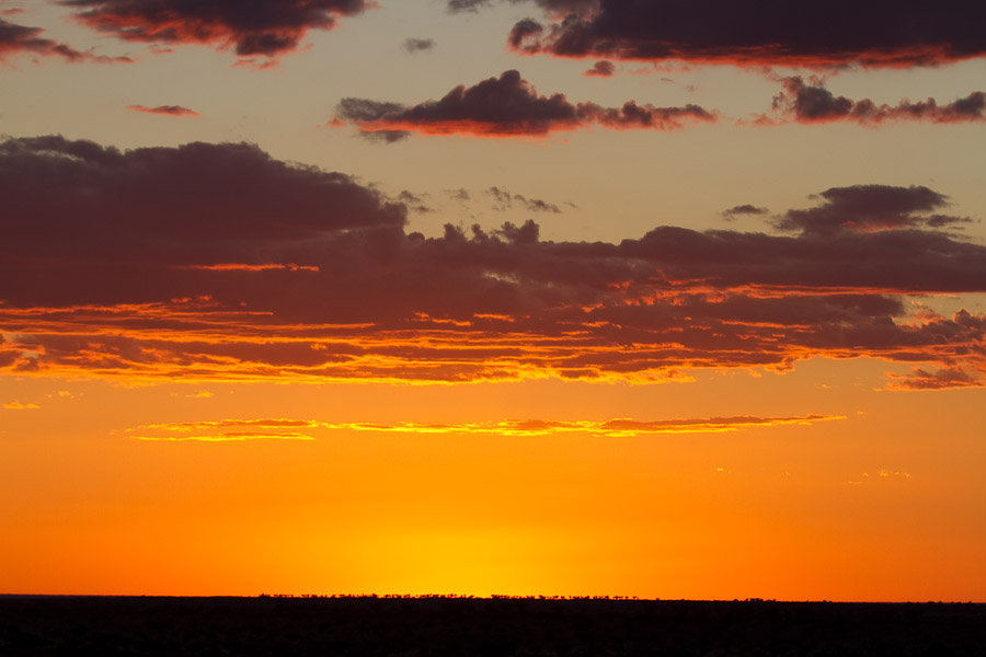 Sunset over the Kalahari