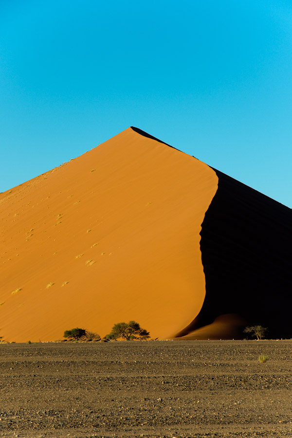 A dune
