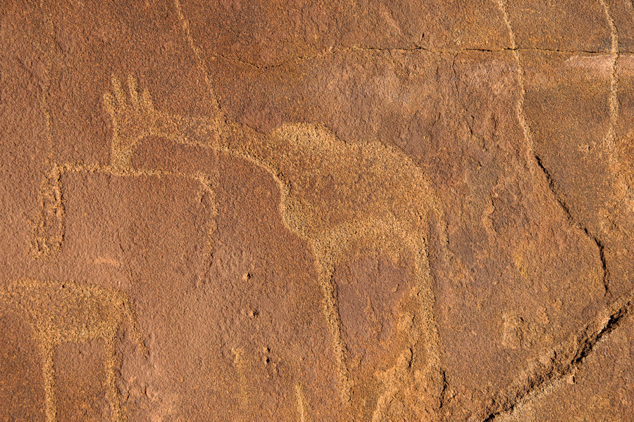 Rock engravings at Twyfelfontein